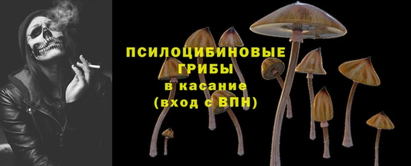 мяу мяу мука Баксан