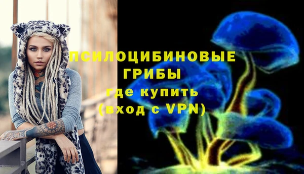 герыч Балахна