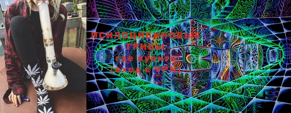 мяу мяу мука Баксан