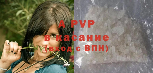 мяу мяу мука Баксан